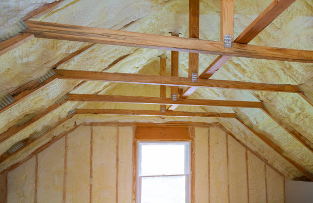 Best Residential Insulation in Socorro, TX
