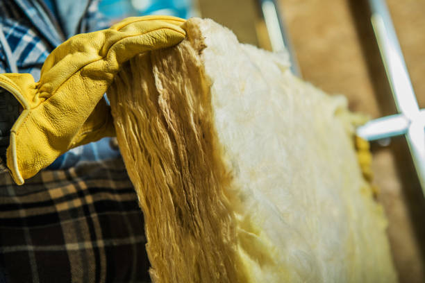 Best Insulation Installation Services in Socorro, TX